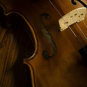 练习小提琴的时间音乐会艺术音乐滚动乐器细绳交响乐低音仪器中提琴图片