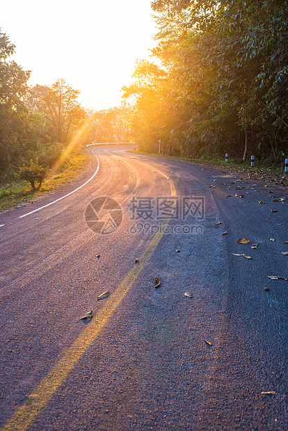 黄线和太阳的公路天空云景树木车道运输曲线旅行森林植物天气图片