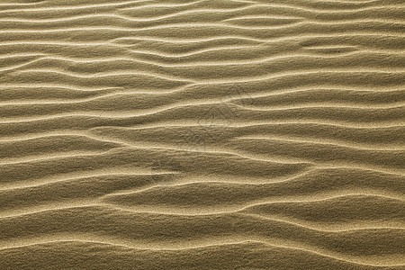 沙宽慰天气橙子荒地气候沙漠干旱风化金子沙丘图片