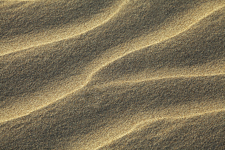 沙地形海浪风化阳光荒地干旱天气金子波纹气候图片