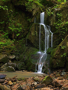 瀑布溪流公园森林苔藓天堂旅行运动岩石美丽风景图片