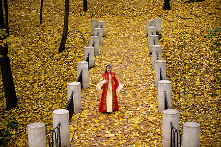 秋天森林中的淑女裙子传奇公园公主女士头发戏服栅栏仙境故事图片