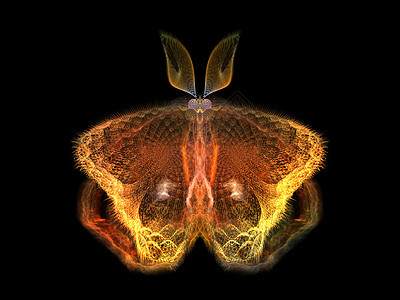 闪耀的蝴蝶创造力森林航班设计眼睛花园昆虫插图宏观野生动物图片