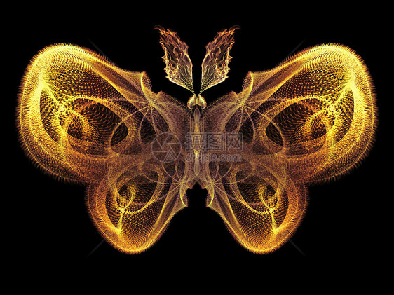 蝴蝶魔法宏观想像力触角生物学科学漏洞野生动物森林元素创造力图片