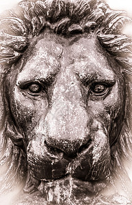 狮子雕像的古老风格照片图片