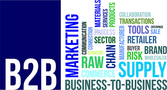 单词云  b2b材料零售商服务消费者交易部门营销批发商工具合作图片
