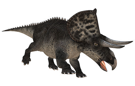 单体蛋白爬虫动物爬行动物生物插图古生物学恐龙博物馆时代怪物图片
