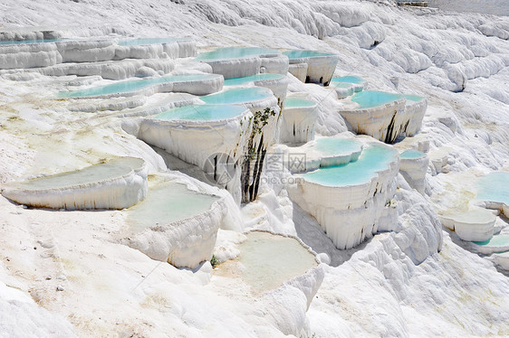 土耳其Pamukkale的蓝水穿河游泳池矿物旅游盆地游客石灰石岩石蓝色旅行地标水池图片