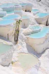 土耳其Pamukkale的蓝水穿河游泳池地标洗澡石灰华瀑布订金旅行盆地水池碳酸盐编队图片