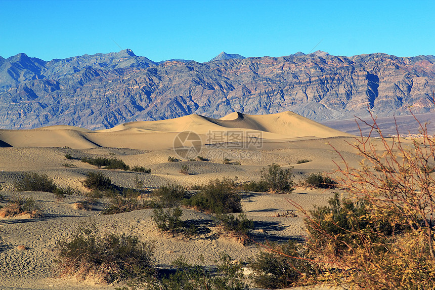 沙丘风景涟漪侵蚀沙波山脉风蚀地质学天空沙漠日出图片