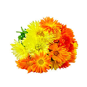 Calendula 黄色和橙色花束图片