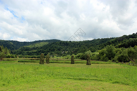 喀尔巴阡山的一片干草风景地区小路森林衬套旅行全景农村绿色地层图片