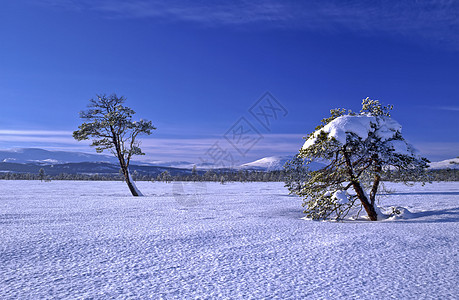 冬季风景地平线孤独气候蓝色荒野天空薄雾阳光场景天气图片