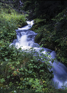 山区流公园石头花园森林旅行环境瀑布植物农场溪流图片