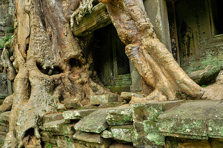 Angkor Wat综合体暹粒区古老的佛教赫默寺庙艺术世界废墟寺庙宗教雕像旅行石头假期佛教徒图片