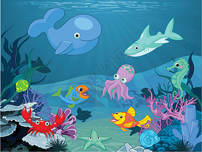 水下生物太阳动物插图海藻植物海景潜水鲨鱼夹子珊瑚图片