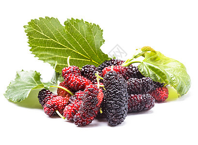 Mulberry 浆果红色白色水果食物采摘绿色树叶紫色宏观梧桐素图片