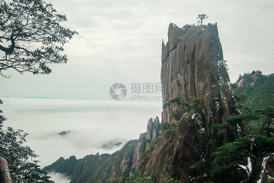 世界自然遗产三青山地貌的风景松树旅游山脉花岗岩悬崖世界遗产山谷图片