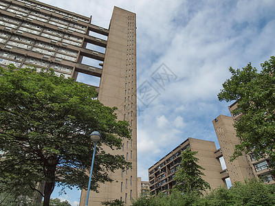 伦敦Balfron塔建筑杰作英语社论地标王国公益建筑学住房图片