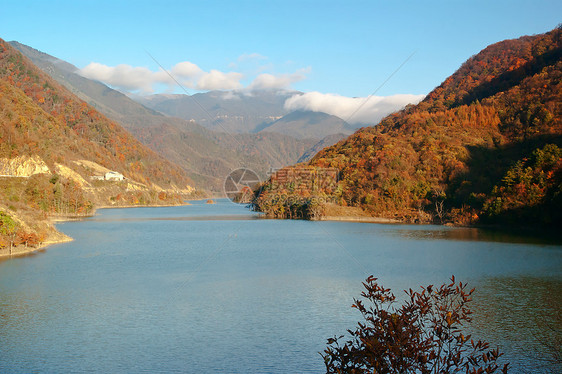 山峰 树木 云旅游森林山脉松树图片