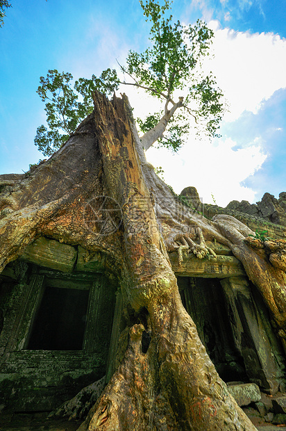 Angkor Wat综合体暹粒区古老的佛教赫默寺庙考古学历史性高棉语假期蓝色建筑学热带宗教旅行雕塑图片