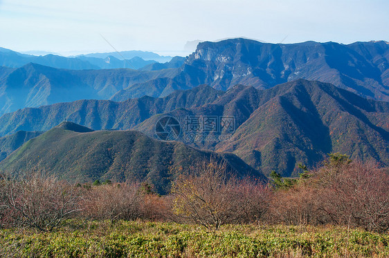 山峰 树林 云朵 喜农家美人松树山脉树木旅游森林图片