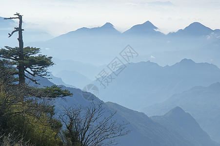 山峰 树林 云朵 喜农家美人旅游树木山脉松树森林图片