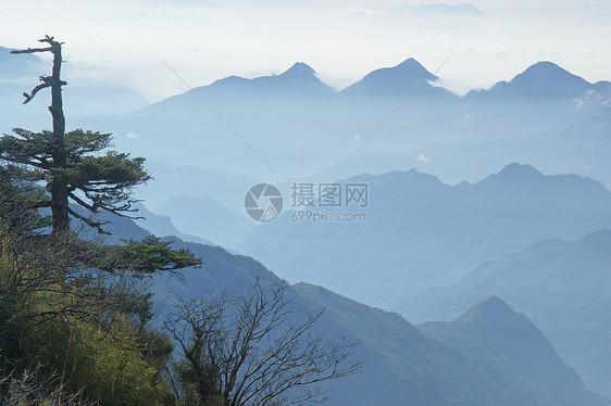 山峰 树林 云朵 喜农家美人旅游树木山脉松树森林图片