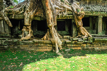 Angkor Wat综合体暹粒区古老的佛教赫默寺庙蓝色考古学天空雕像雕塑热带文化假期石头世界图片