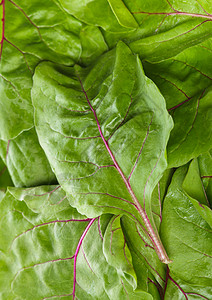 粗金叶叶多叶生物杂货店营养食物沙拉紫色蔬菜美食花园图片