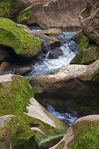溪流  一个小瀑布环境山脉岩石苔藓白色绿色图片