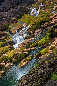 溪流  一个小瀑布苔藓白色绿色山脉环境岩石图片