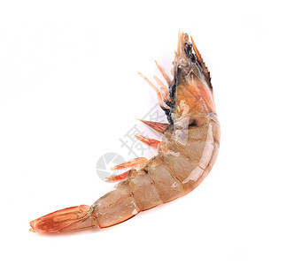 紧贴新鲜虾虾动物白色贝类饮食养殖甲壳食物海鲜营养美食图片