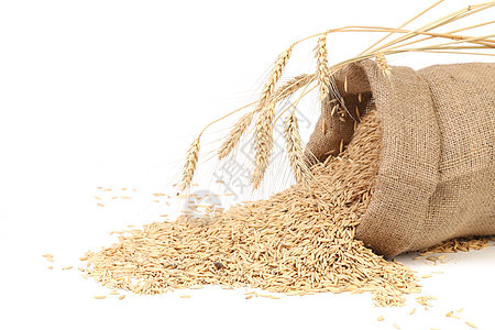 包里有谷物和小麦耳朵食品解雇产品农业稻田种子营养碎粒粮食盘子图片