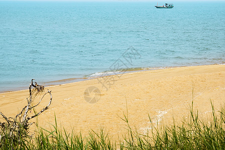 中国海南岛热带沿海景点的中国海南岛沙滩国际旅行图片