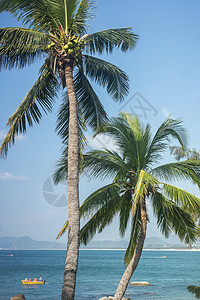 三亚天叶海知地貌旅行环保热带天空海洋海滩图片