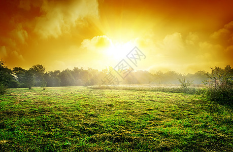 日落时草地背景色彩场地生长天空云景花园太阳风景蓝色图片