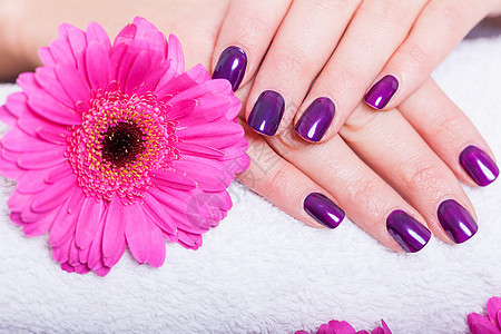 穿着美美的修指甲紫色钉子的女人化妆品雏菊洗漱虚荣美丽用品指甲油保养毛巾温泉图片