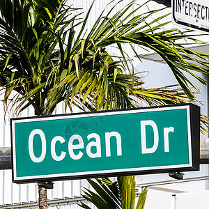 美国弗洛里德迈阿密海滩城市生活晴天手掌基础设施建筑物地标蓝色建筑学街道冲浪图片