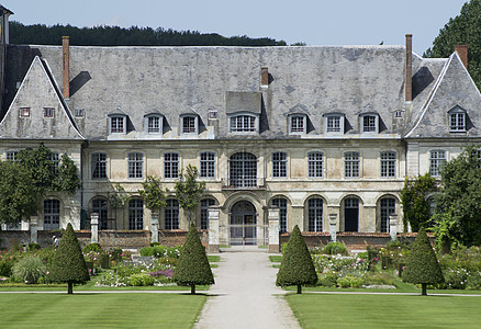 法国万圣寺修道院花园花园锥体圆锥形植物图片