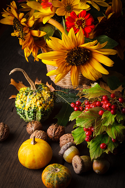 秋天颜色的静止生命植物棕色花朵橙子工作室绿色白色花瓶静物南瓜图片
