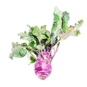 孤立的Kohlrabi紫色宏观收成饮食花园美食萝卜芸苔季节农场图片