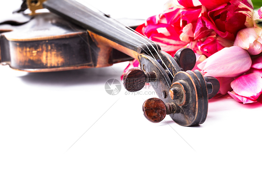 音乐会概念民间乐器旋律文化白色细绳娱乐艺术中提琴明信片图片