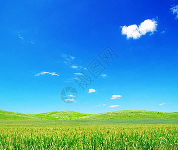 绿绿地土地植物草地农村地平线阳光天堂季节场地太阳图片