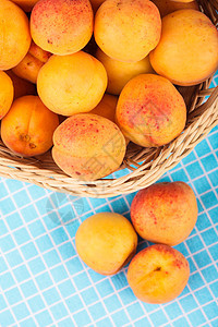 杏子植物群橙子乡村黄色营养篮子花园季节食物水果图片
