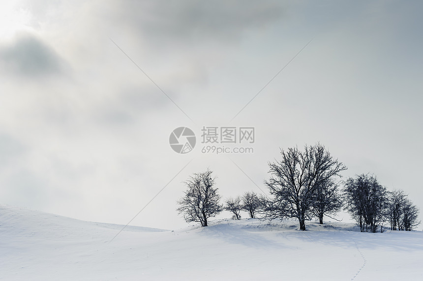 山上的树在冬天 可见的太阳和云图片