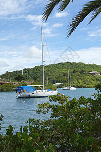 安提瓜和巴布达 加勒比帆船港口造船厂海岸旅行海湾旅游景点码头图片