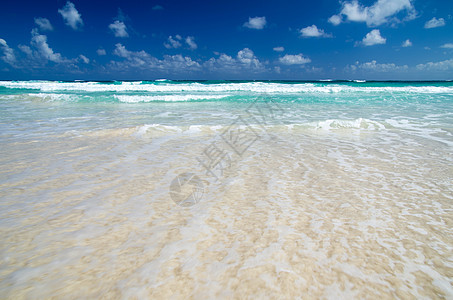加勒比海滩叶子蓝色海景假期太阳旅行椰子晴天棕榈风景图片