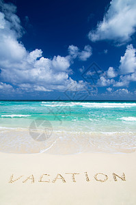 加勒比海滩海岸天空支撑海浪蓝色棕榈假期叶子椰子晴天图片