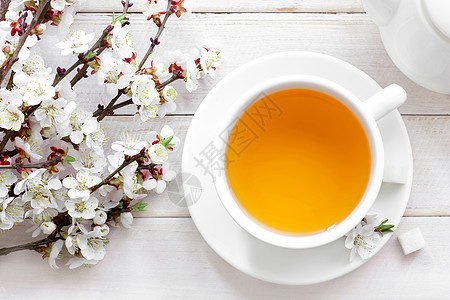 茶刺激树叶陶器兴奋剂杯子早餐时间芳香茶壶饮料图片